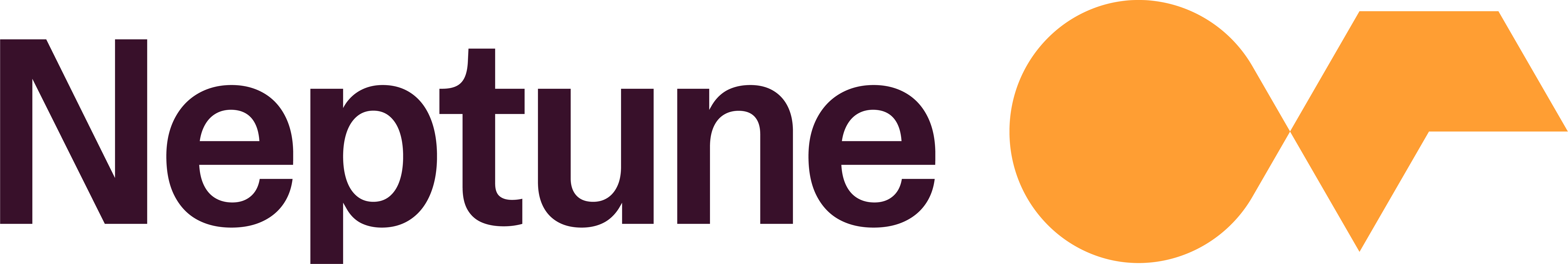 Neptune Software company logo